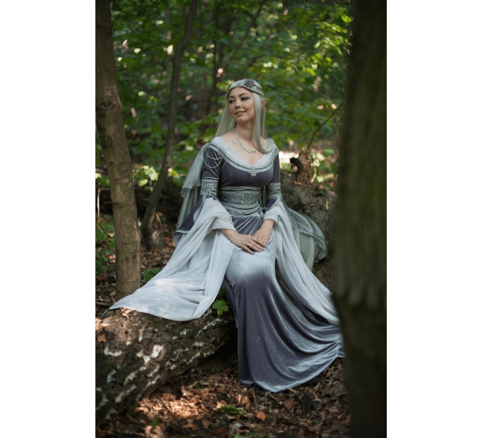 Arwen Costumes Lord of the Rings Cosplay – Dress Art Mystery